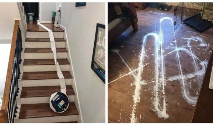 25 proofs that robot vacuum cleaners are real pranksters (26 photos)