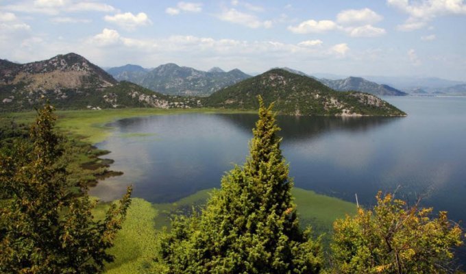 Скадарское озеро: красота природного мира Черногории (11 фото)