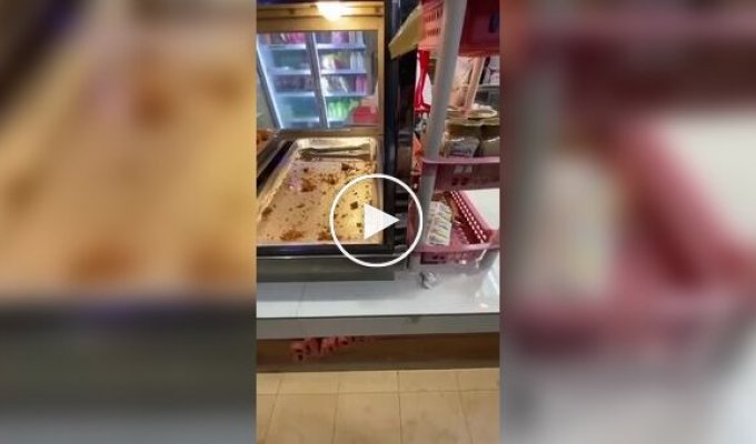 Парень порадовал голодного пса