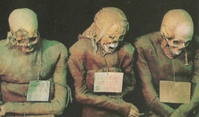 25 любопытных и малоизвестных фактов о мумиях (25 фото)