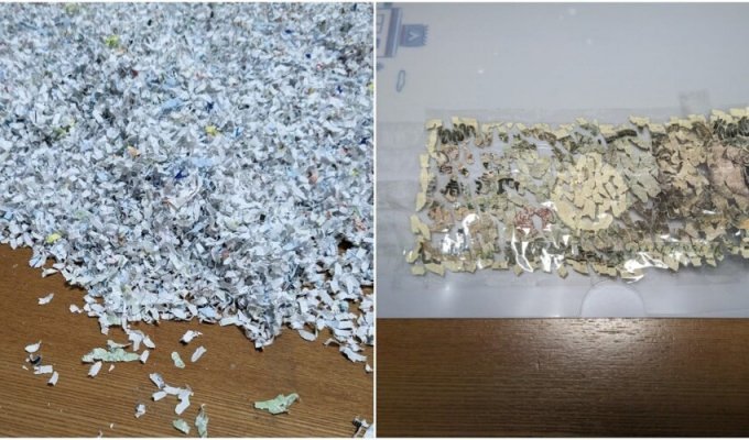 A Japanese man spent three weeks collecting a bill that accidentally fell into a shredder (5 photos)