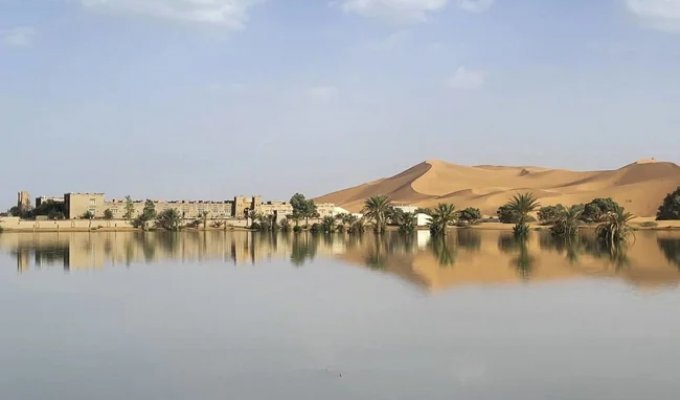 Heavy rains changed the face of the Sahara Desert (3 photos + 1 video)