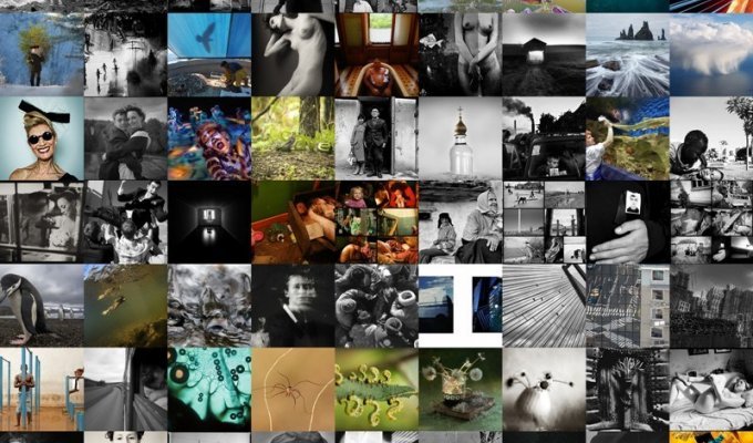 «Лучший фотограф 2009»: галерея победителей (70 фото)