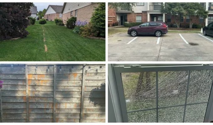 25 terrible neighbors that undermine faith in humanity (26 photos)