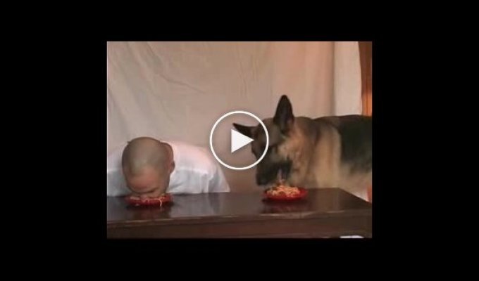 Человек против Собаки по поеданию еды