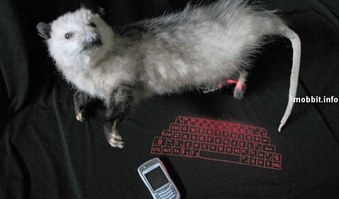 Text-O-Possum – клавиатура в чучеле опоссума