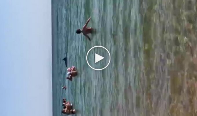 На Сахалине, дельфины приплыли к людям на пляж