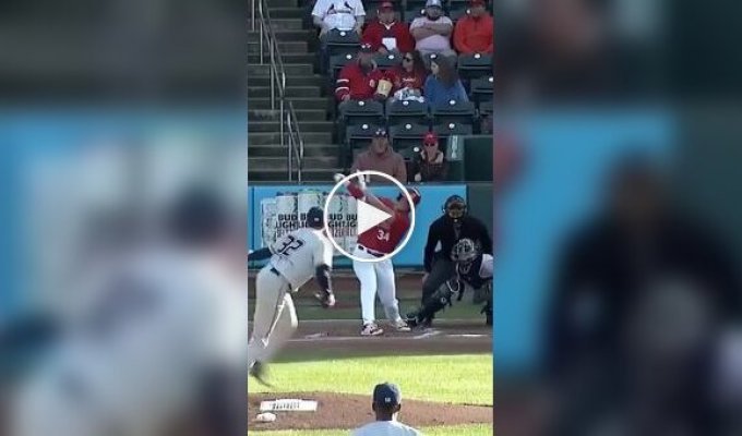 A funny moment in baseball