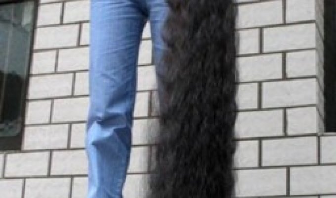 Девушка с волосами длиной 2 м 42 см (5 фото)