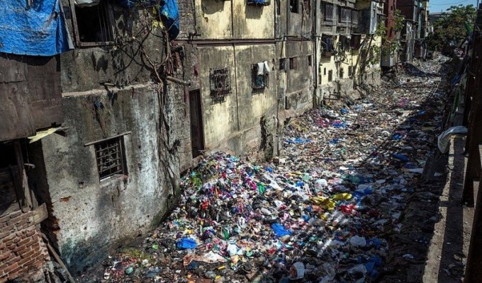 Адское счастье. Репортаж из трущоб Мумбаи (12 фото)