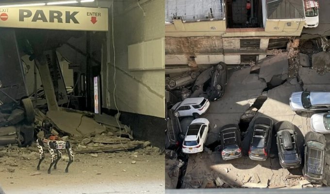 В Нью-Йорке искать людей под завалами рухнувшего здания отправили робота-собаку (6 фото + 1 видео)