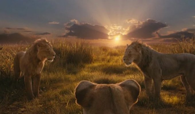 The first shots of the film "Mufasa" from the series "The Lion King" (7 photos + video)