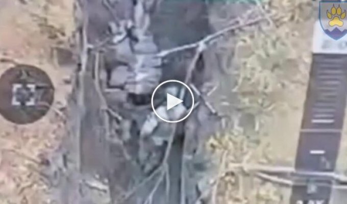 Оккупант добивает своего раненого товарища прикладом автомата по голове