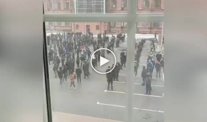 В Санкт-Петербурге образовалась огромная очередь из мигрантов