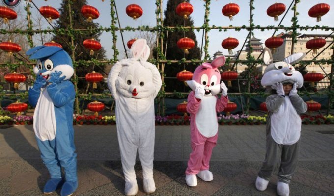 Новый год кролика по восточному календарю (44 фото)