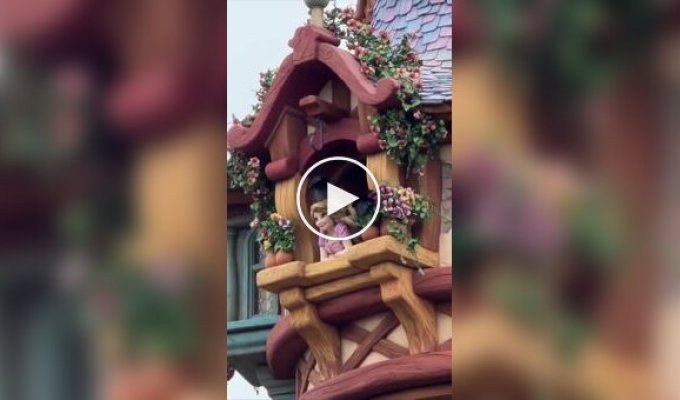 Вороны атаковали Рапунцель в «Диснейленде»