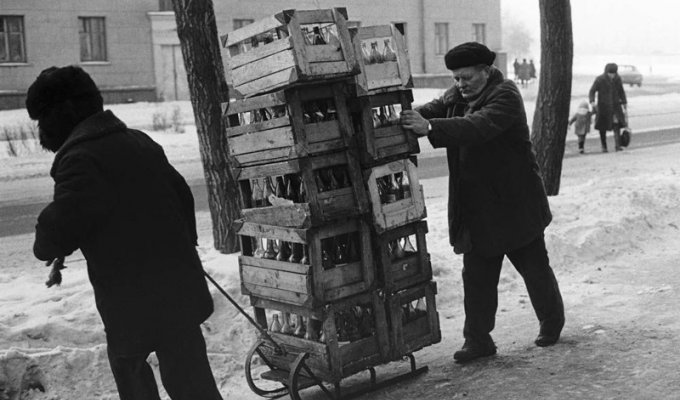 Как в СССР сдавали бутылки (7 фото)