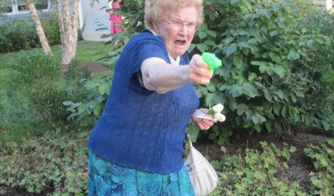 Бабушка с пистолетом (18 фото)