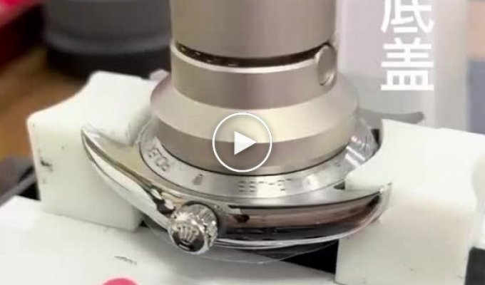The painstaking work of a watchmaker