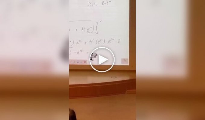 Пушистый учитель математики