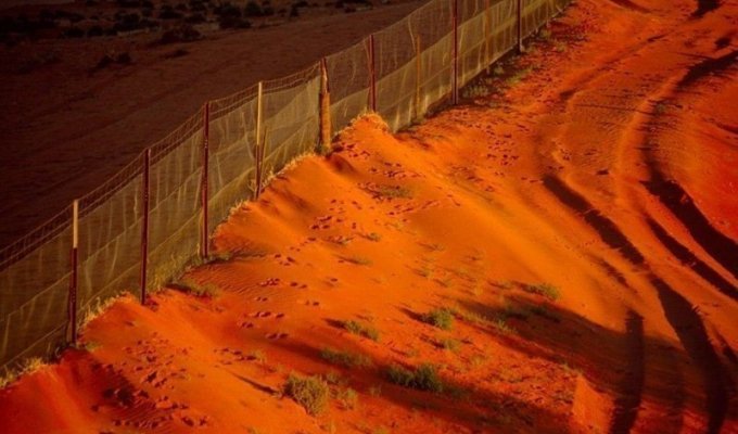 «Великие стены» Австралии (16 фото)