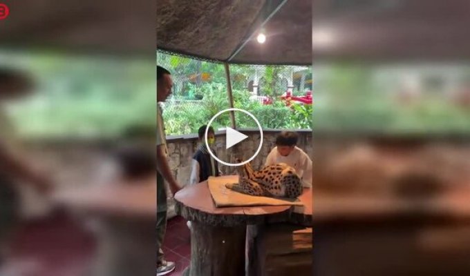 Courage Ends Where a Predator's Reaction Began