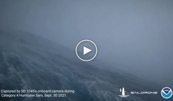 Американские ученые впервые сняли видео внутри урагана