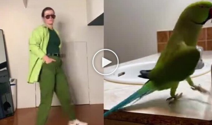 The girl masterfully repeated the parrot's dance