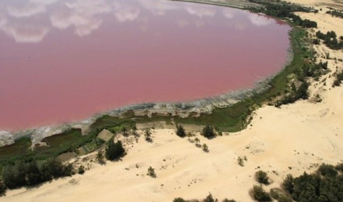 Розовое озеро в Австралии (7 фото)