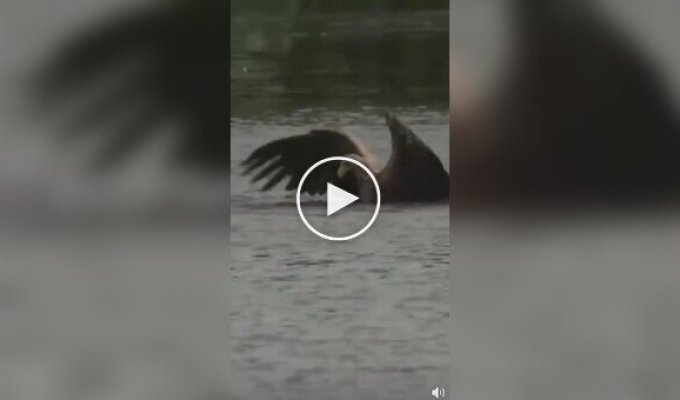 Ху - хороший улов