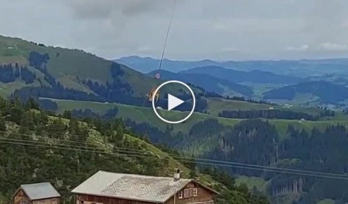 В Швейцарии коров доставляют в ветеринарные клиники с помощью вертолетов
