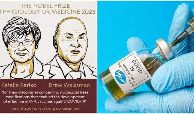 Нобелевскую премию по медицине вручили создателям вакцины от коронавируса (3 фото)