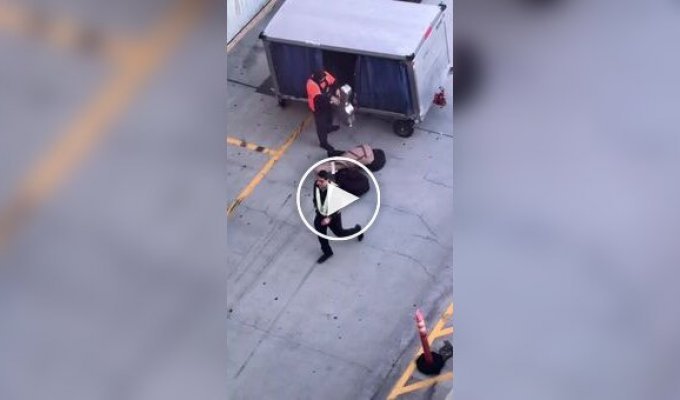 В аэропорту рабочий швырял дорогие гитары при разгрузке багажа