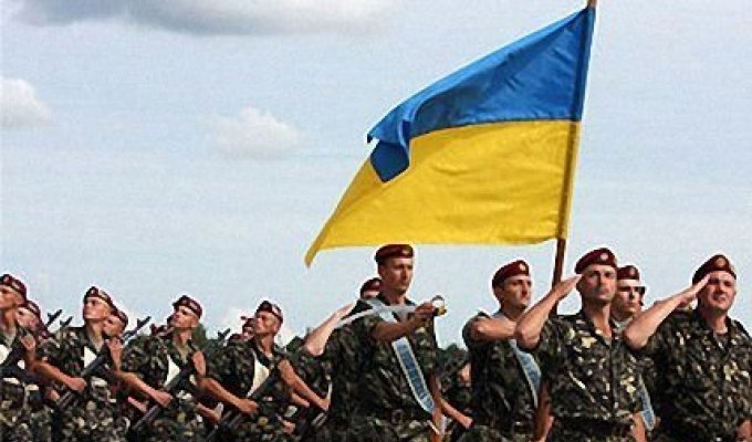 Украинская Армия: краткий технический обзор (5 фото)