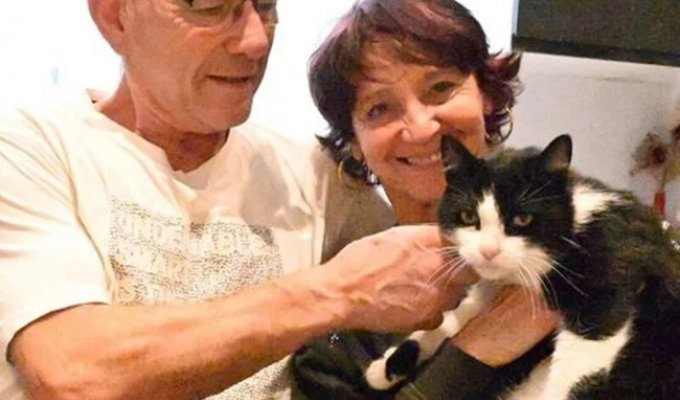 Кот потерялся во время отдыха в Испании и сам дошёл до дома во Франции (2 фото + 1 видео)