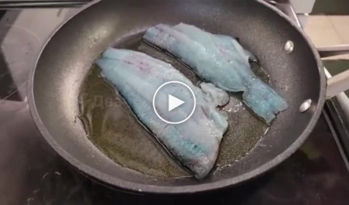 Fisherman boasts of rare fish with blue meat that changes color