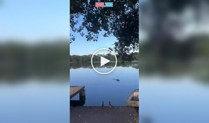 Во Франции пожарный вертолет рухнул в пруд и разбился