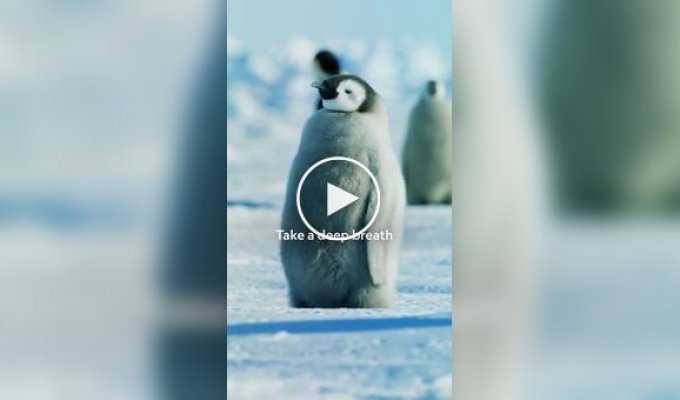 Рівень спокою, до якого варто прагнути