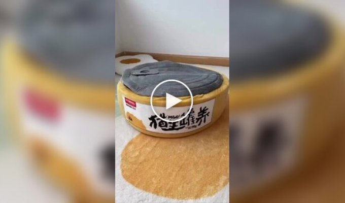 Bed for cats in the form of a tin can