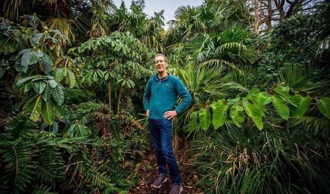 Мужчина потратил 30 лет, чтобы превратить свой сад в невероятные джунгли (24 фото)