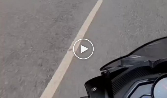 Когда мотоциклисту в голову пришла хорошая идея