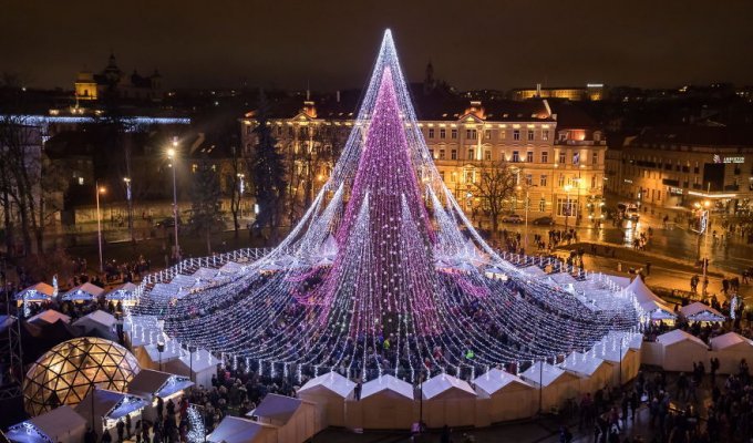Самое красивое и необычное рождественское дерево в Вильнюсе