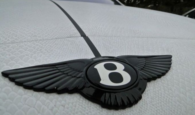 Bentley Continental GT в змеиной пленке от ателье Dartz (6 фото)