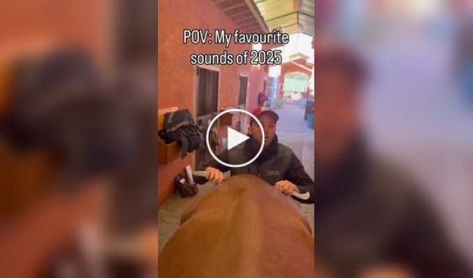 Как работает конный мануальный терапевт