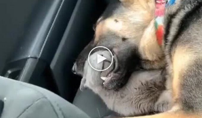 Тихий и спокойный сон