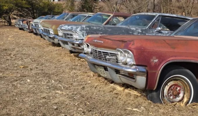 300 Cars from the GM Classic Car Graveyard to Be Auctioned (6 photos)