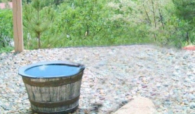 The camera recorded an interesting reason for the loss of water from the barrel (7 photos)