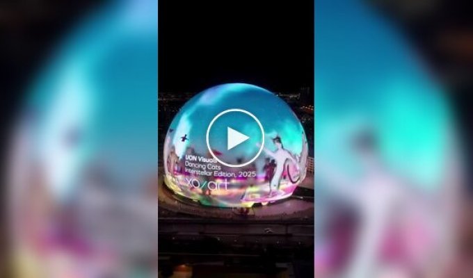 Безумное шоу с котами на куполе сферы в Лас-Вегасе