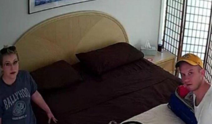 В США арендодатель тайно снимал порно (2 фото)