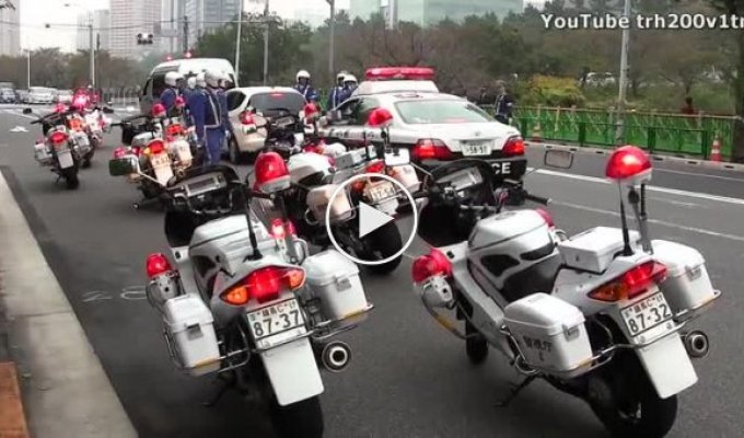 Сколько нужно полицейских чтобы арестовать водителя-девушку в Токио